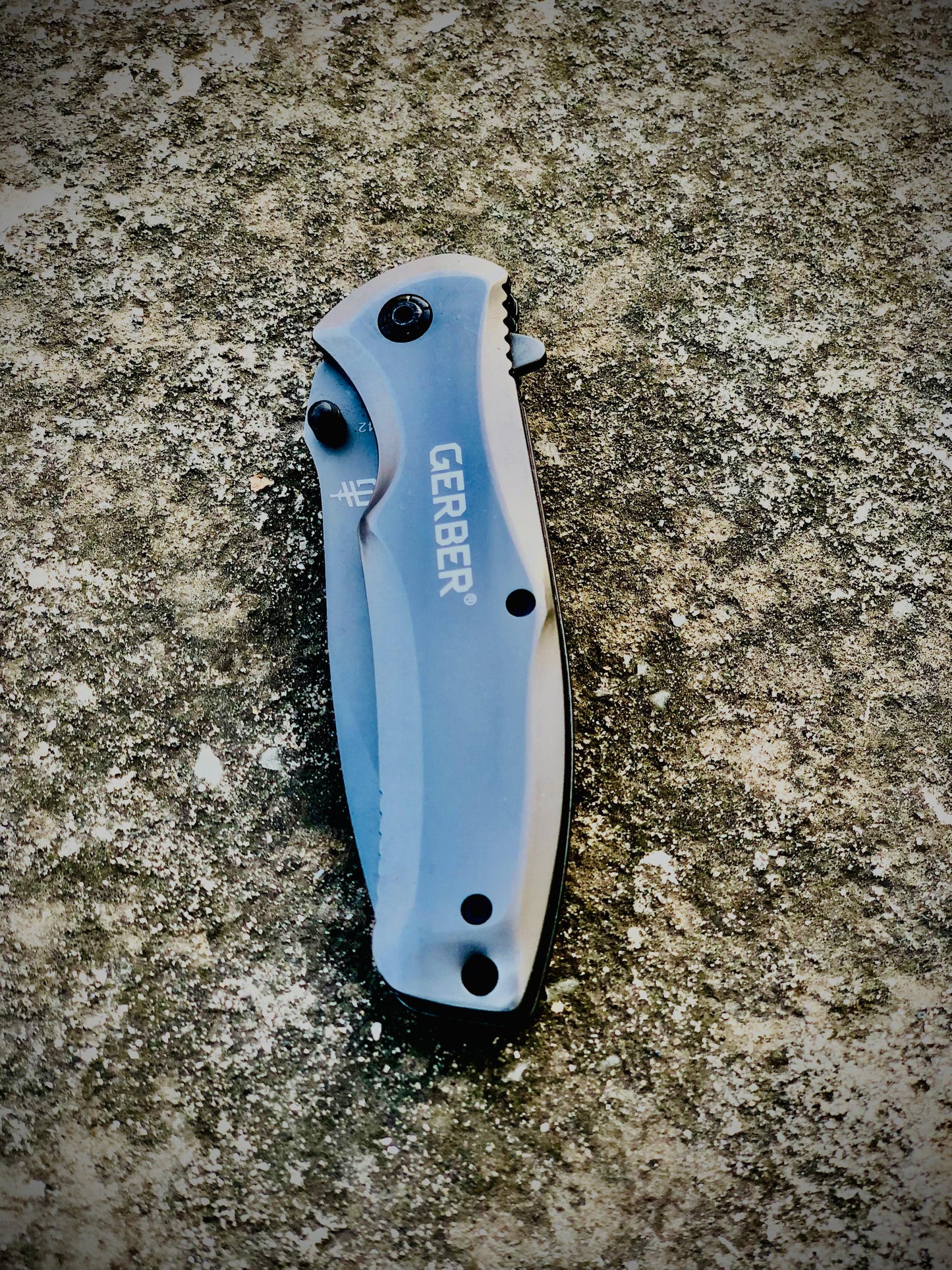 GERBER 342 MT4